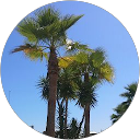 Anna P. profile picture